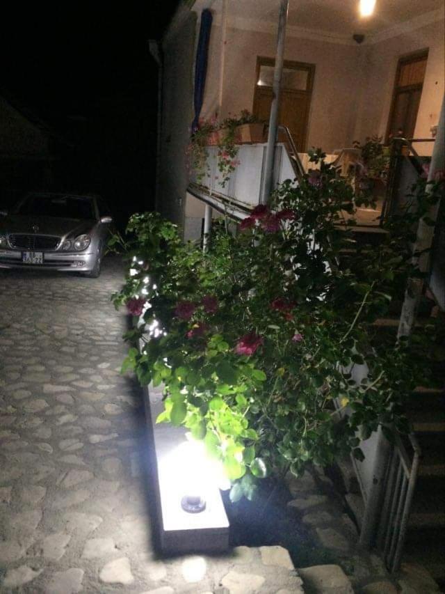 Guesthouse Raisa Qvareli Exteriör bild